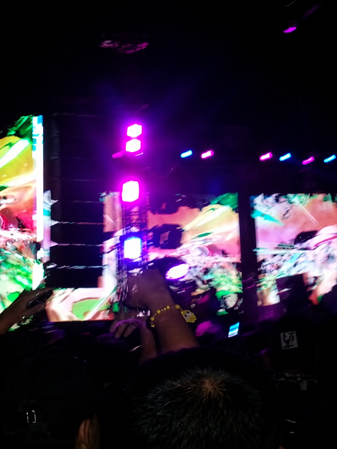 Galactic Gardens inside the crowd
